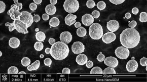 �������g�İlչ