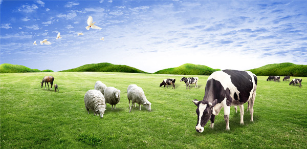 �ЙC���ИI���g֮�Bֳ�I���h���ēp��