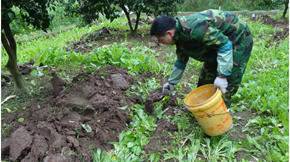 �ЙC���c�r�ҷʵą^�e