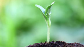 �ЙC�r�I֮�����ķ���