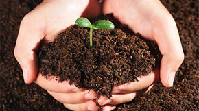 肥料種類對土壤腐殖質組成的影響