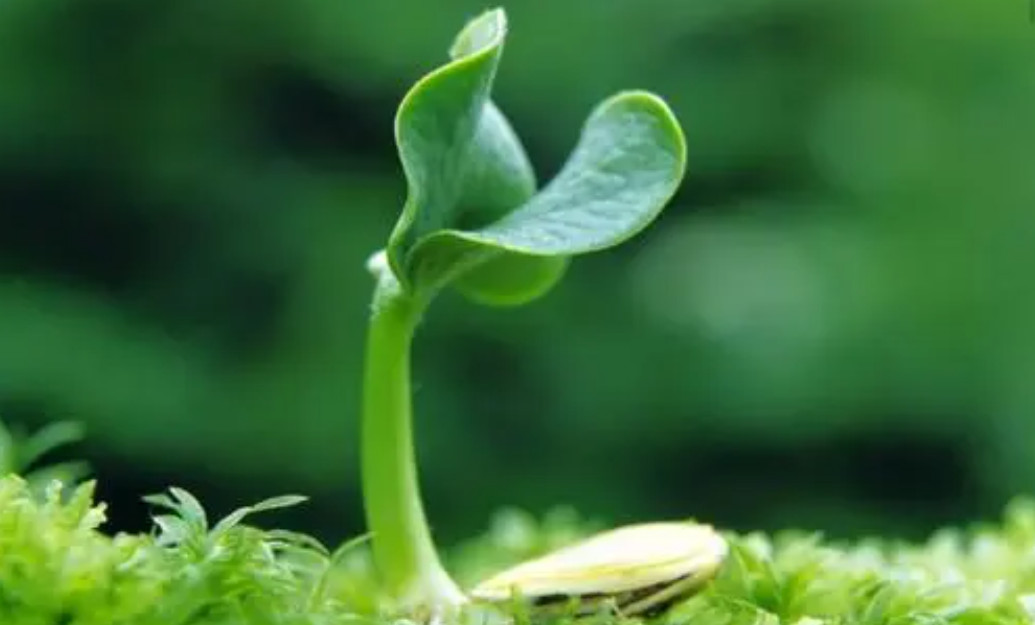 �����ЙC���O��lչ�F��