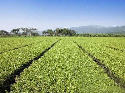 �kһ��С�͵��ЙC�ʼӹ��S��Ҫ��Щ���m��Ͷ�Y�����X��