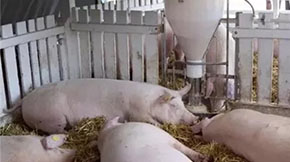 ����B�i����ô̎���S�۵ģ��@Щ����ֵ�ÌW����