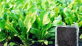 開辦有機肥工廠有這些好政策······