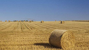 秸桿生產(chǎn)生物有機肥技術(shù)