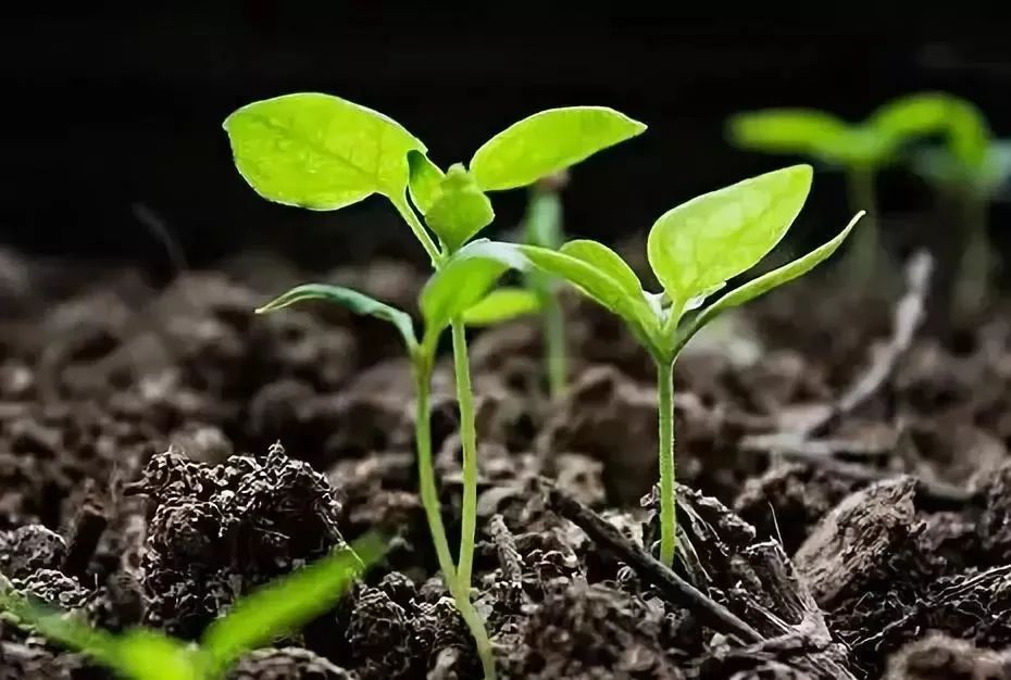 �ЙC(j��)���w�����a(ch��n)���c�۠����a(ch��n)��̎����ʽ�кβ�ͬ��