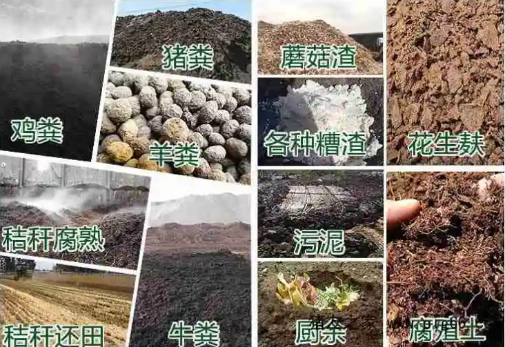 �ЙC�ʰl(f��)��ԭ������