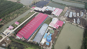 �ӹ��ЙC�����a(ch��n)���Ŀ���S�Ĵ��֪֪�R