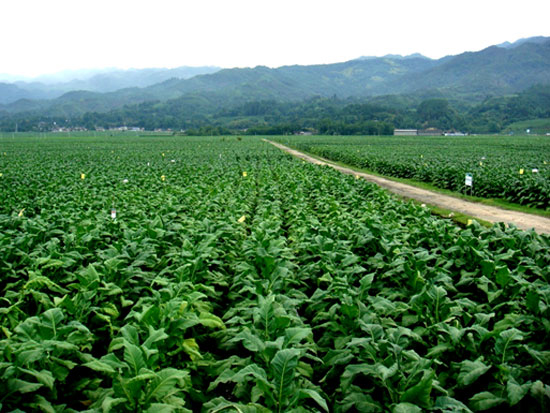 ����(sh��)�ЙC�ʰl(f��)�͵��Ă��r��