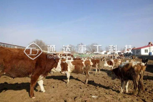 ���ɹŽ�һ�l��a5�f��ţ�S�ЙC�����a��ָ��