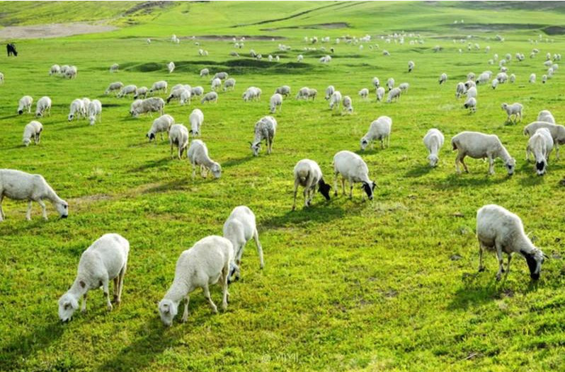 ʹ����S�����ЙC����Ҫʲô�ЙC���O�䣿