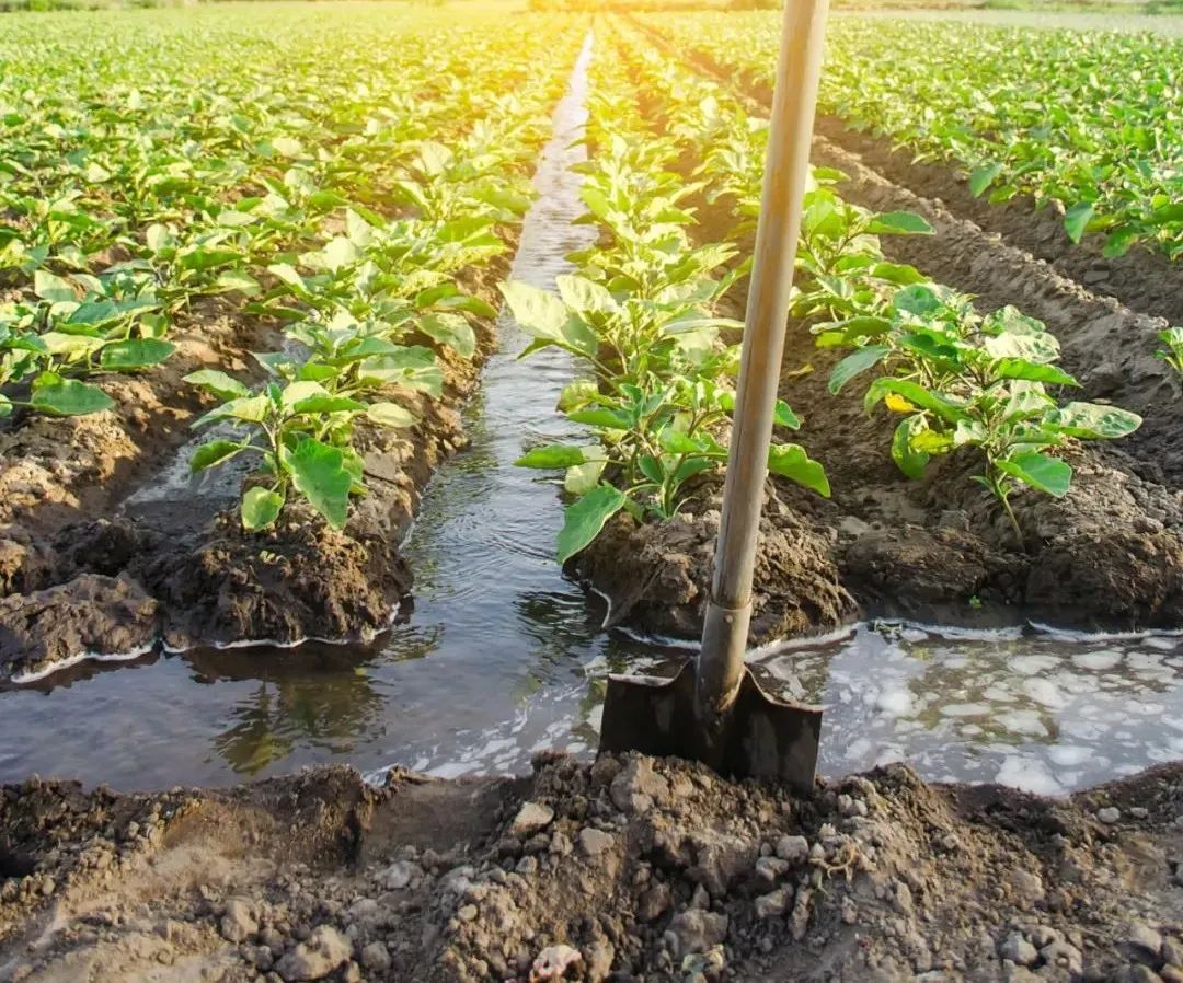 �ЙC�ʵ��傀�lչڅ��