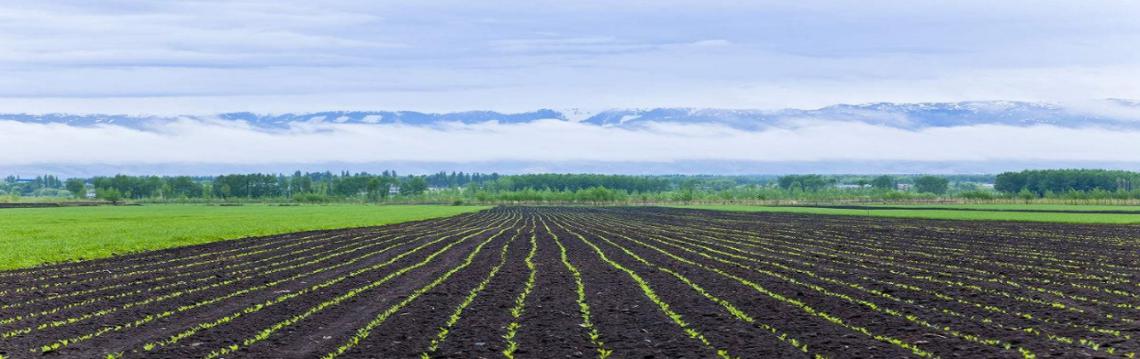 微生物肥料到底好不好?看完這篇文章你就知道了!