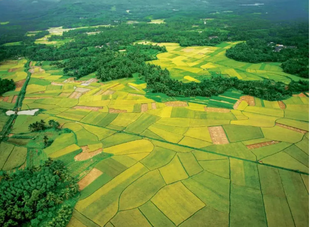 農廢歸田化春泥 污糞變寶興產業