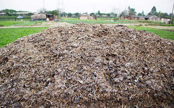 �Bֳ�������ݼS�㲻�M�аl�͵�Σ��