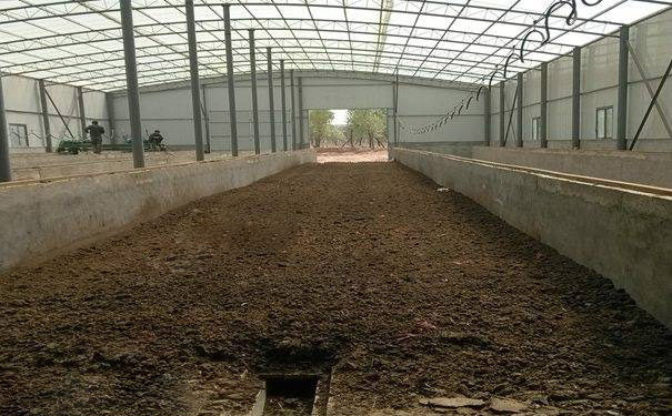 Ӱ��ЙC�ʺ����ѷʰl�͵�����