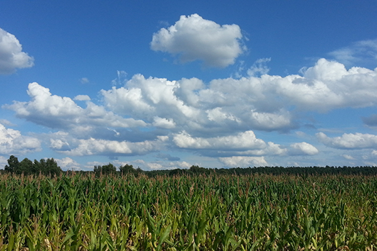 �ЙC�ʏS���a����Ʒ�ЙC�ʺ��r�����ƼS�ʵą^�e�����