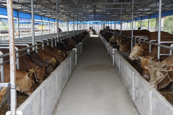 �Bţ����ţ�S���̎�����ЙC�ʣ�