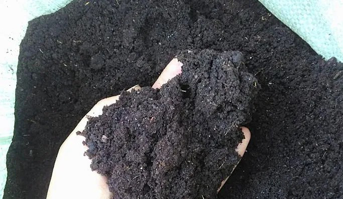 ��ο�ĳ�؅^�Ƿ�����ЙC���ϑ����Ј�