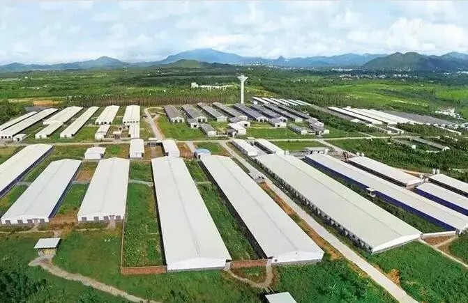 ��ο����Д��ЙC���|���ĺÉģ�