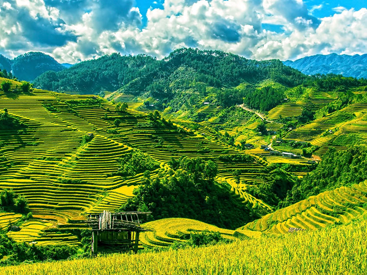 ����Щ���������a(b��)�������е��ЙC(j��)�|(zh��)