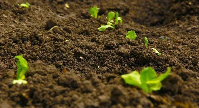 �҇����Ϸ�����И˜ʴ�ȫ