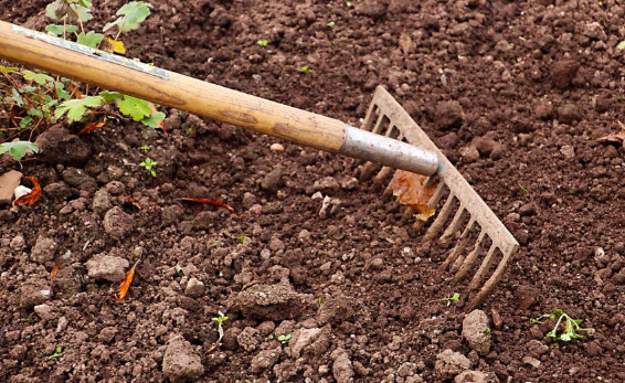 �ЙC�ʰl(f��)�ͳ�Ҋ���}����