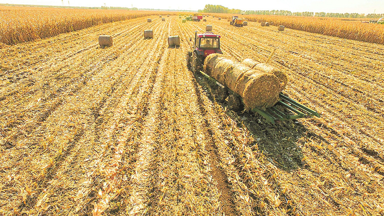 �ЙC�ʵ���Ҫԭ������Щ?